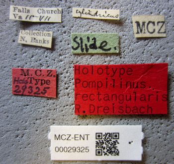 Media type: image;   Entomology 29325 Aspect: labels